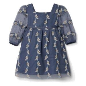 Janie And Jack Girls' Blue Embroidered Tulle Dress Size 4T